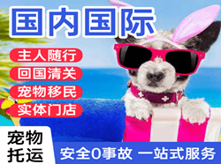 北戴河航空快递国际宠物托运 【国